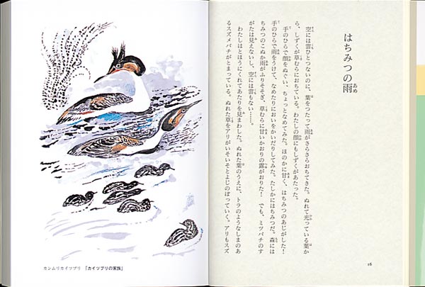 �̤ο��ν��󤫷�ʲ��˥���ȥ��դμ������ʡ����ʸ�ˡ�[�˥��饤������ȥ���]