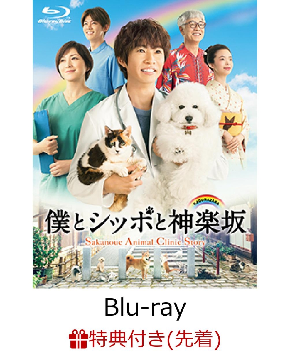 楽天ブックス 先着特典 僕とシッポと神楽坂 Blu Ray Box 特製b5クリアファイル2枚セット付き Blu Ray 相葉雅紀 Dvd