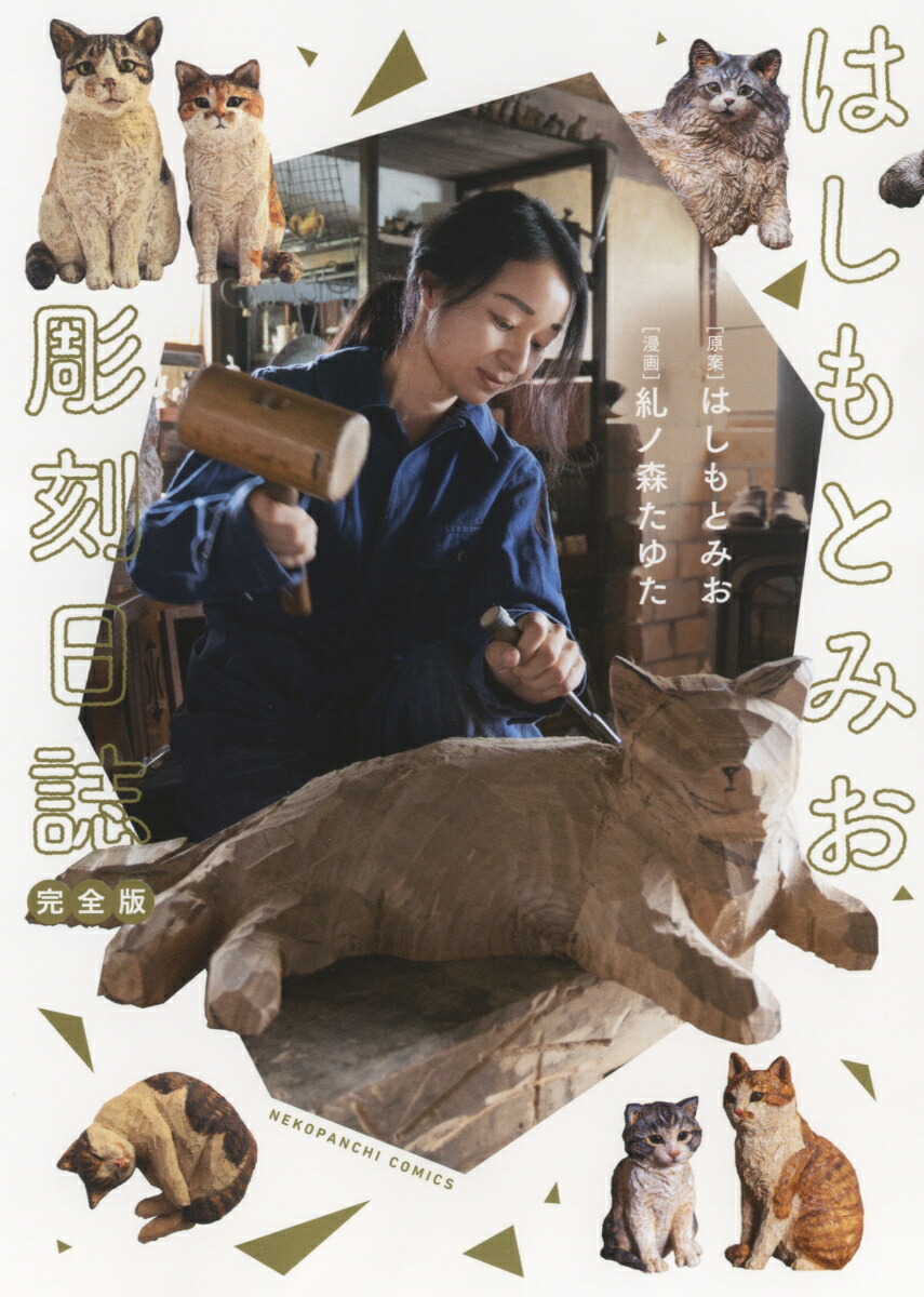 【最終価格】極美品❣️はしもとみおさんソルグラフ 株)きんこう楽器 / Violin/Viola