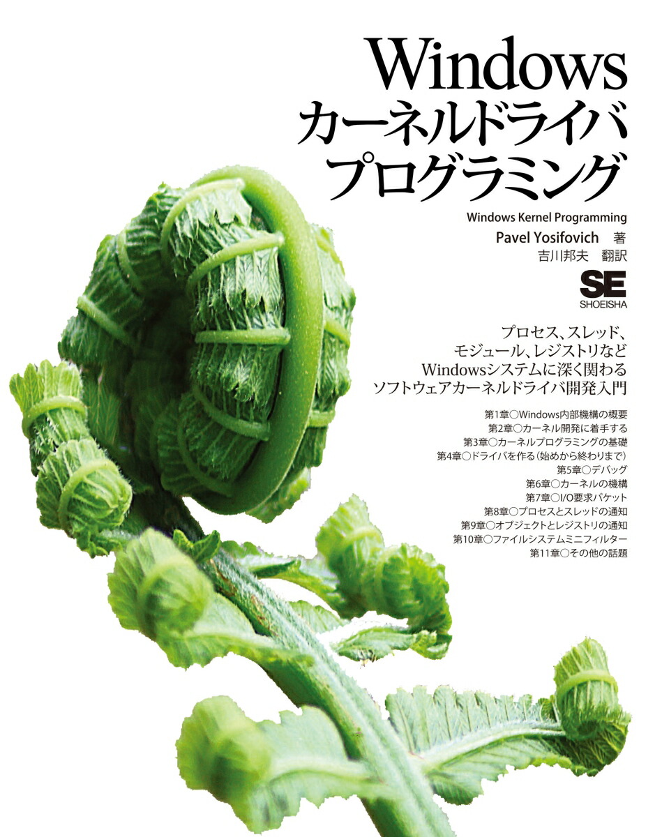 Windowsͥɥ饤Хץߥ[PavelYosifovich]