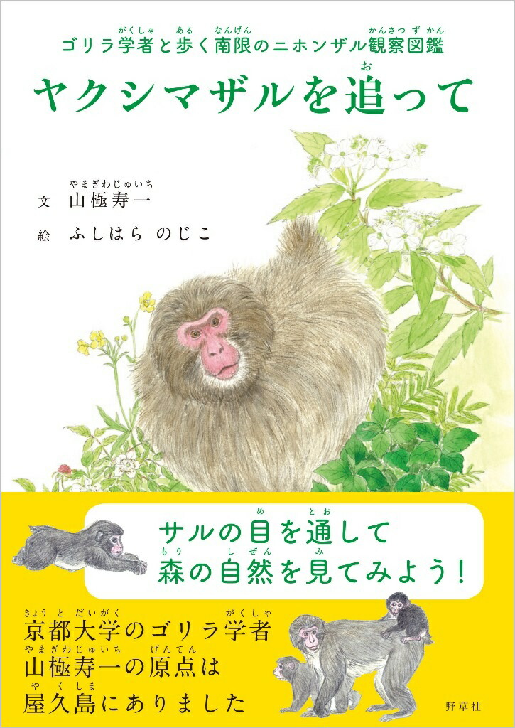 楽天ブックス ヤクシマザルを追って ゴリラ学者と歩く南限のニホンザル観察図鑑 山極 寿一 本
