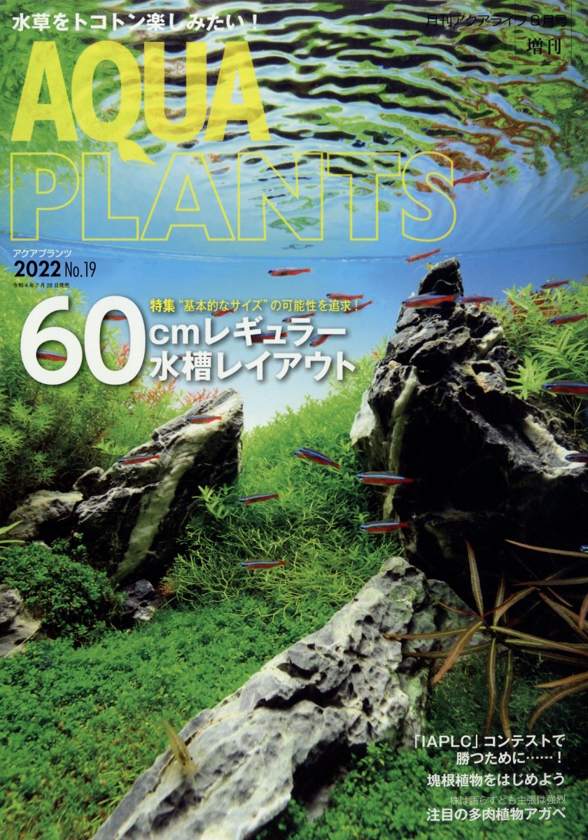 楽天ブックス: AQUA PLANTS (アクアプランツ) No.19 2022年 8月号