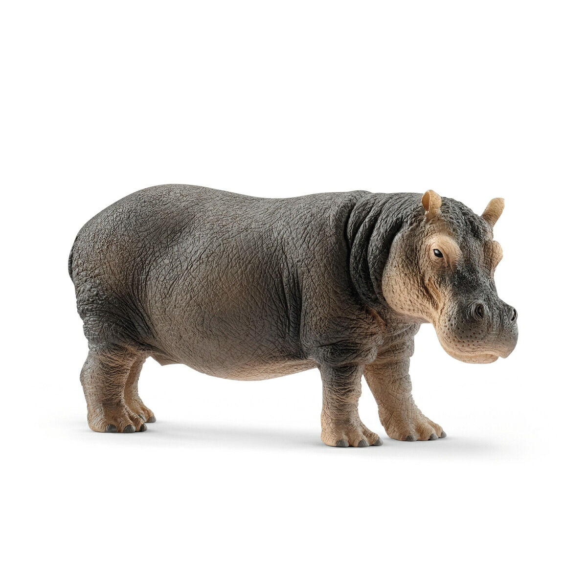 シュライヒ Schleich 廃番品 バオバブの木 中古 送料込