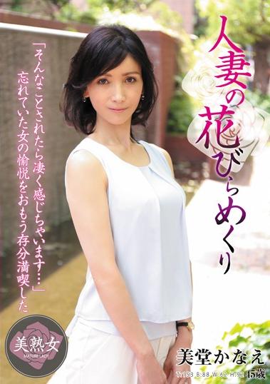 楽天ブックス 人妻の花びらめくり 美堂かなえ 美堂かなえ Dvd