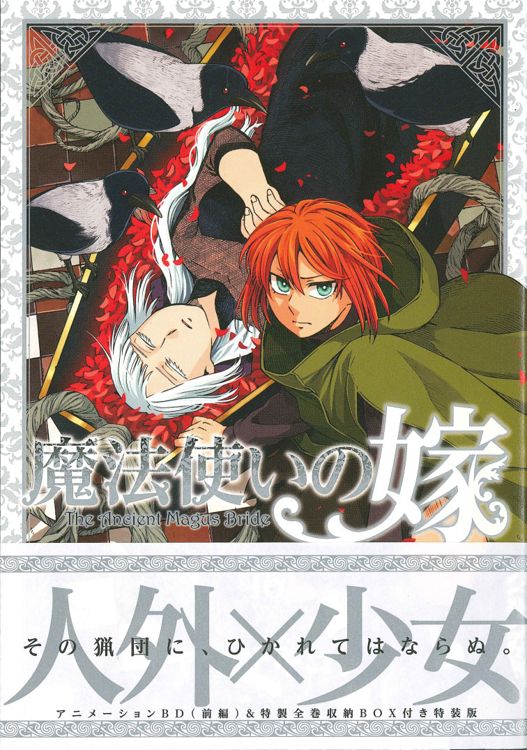 楽天ブックス 特装版 魔法使いの嫁 16巻 ヤマザキコレ 本