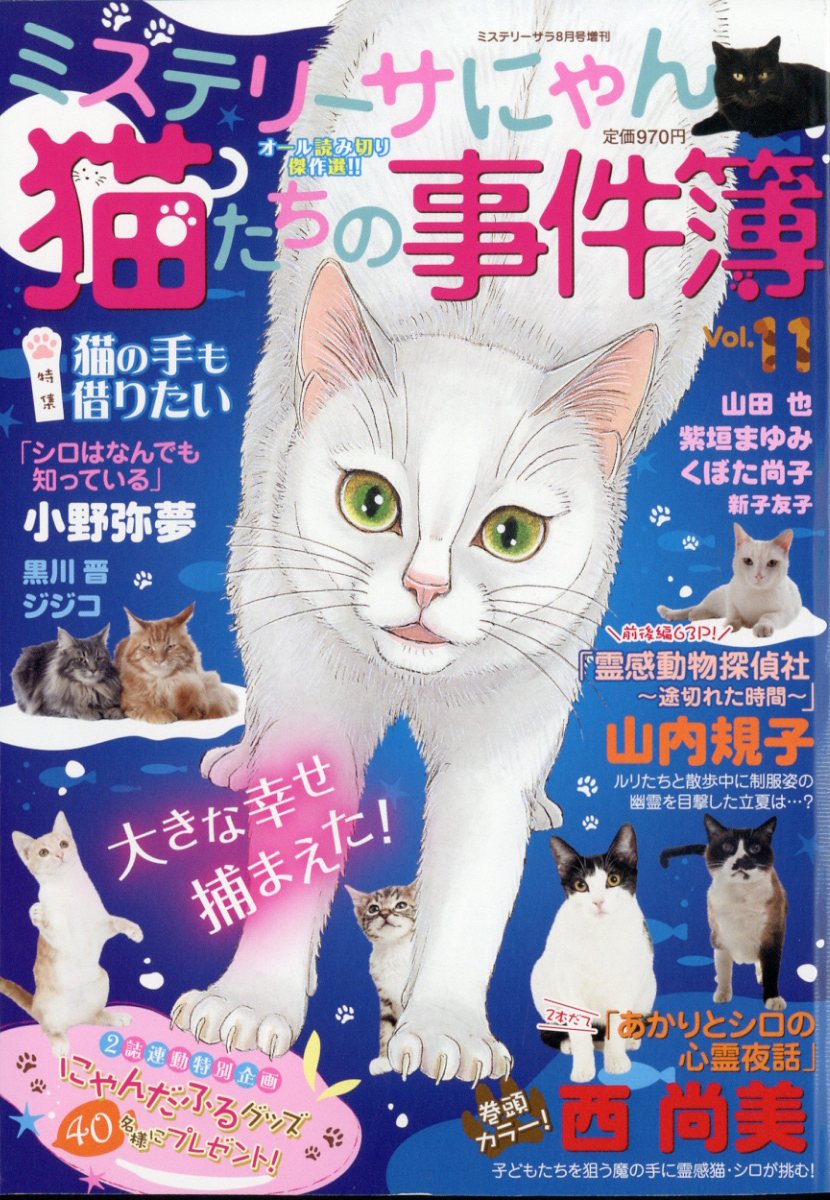 ߥƥ꡼ǭλ112025ǯ8[]