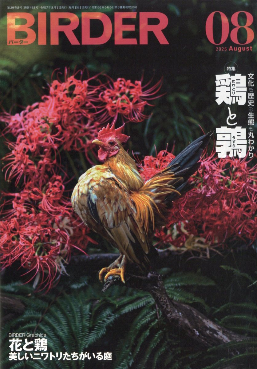 BIRDER(С)2025ǯ8[]