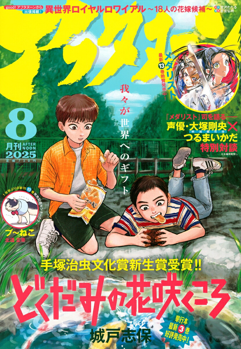 月刊アフタヌーン2025年8月号[雑誌]