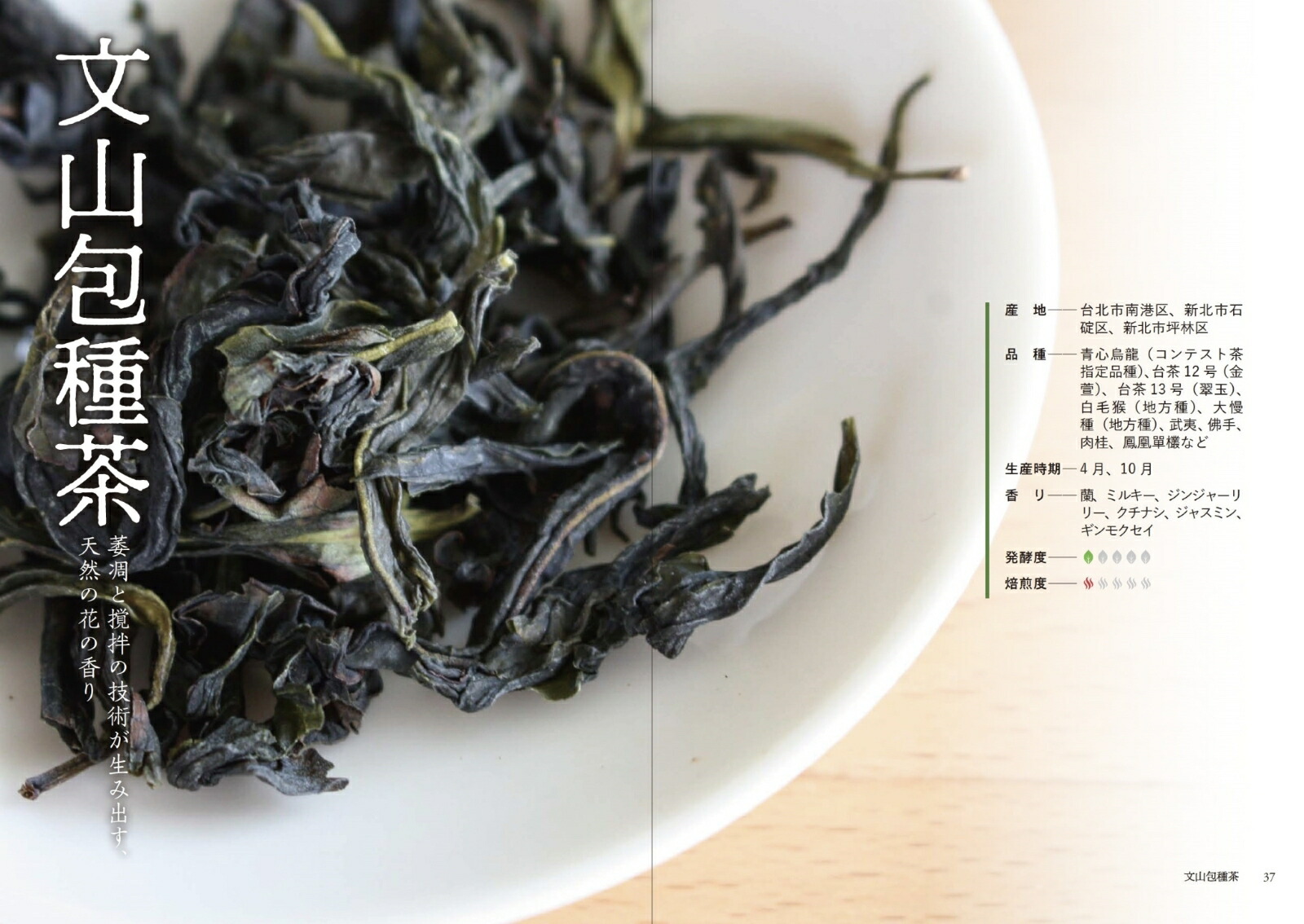 ζʽϤΥѡȤܾμ[ʷ]