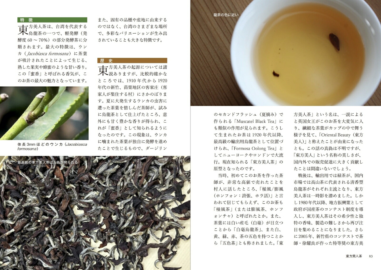 ζʽϤΥѡȤܾμ[ʷ]