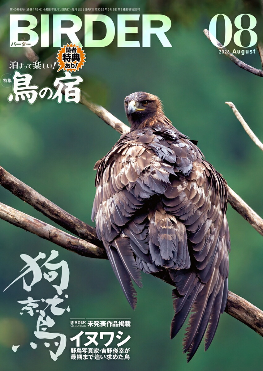 BIRDER(バーダー)2026年8月号[雑誌]