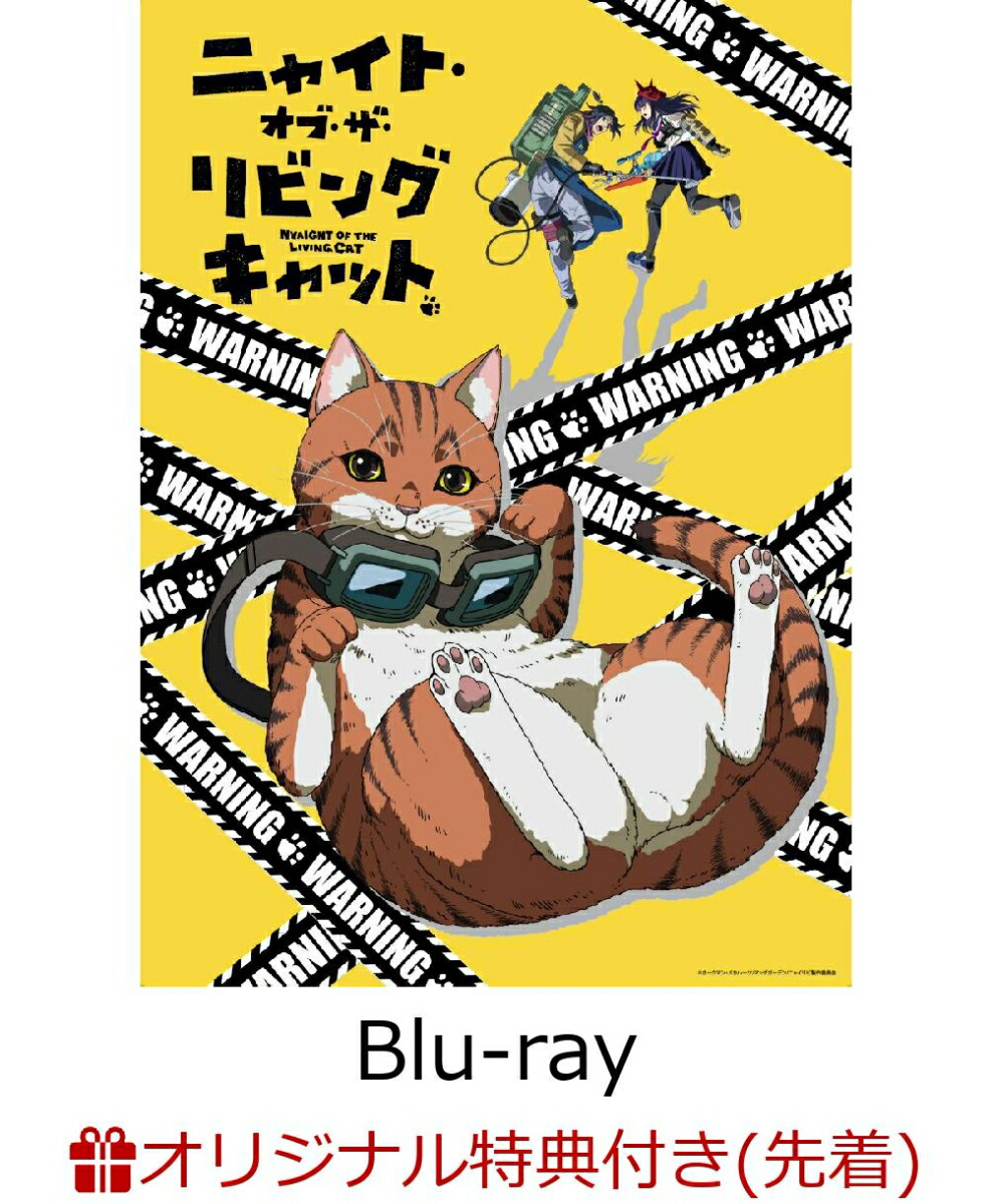 【楽天ブックス限定先着特典】ニャイト・オブ・ザ・リビングキャット Blu-ray BOX【Blu-ray】(キャラファインボード+2L判ブロマイド10枚セット)画像