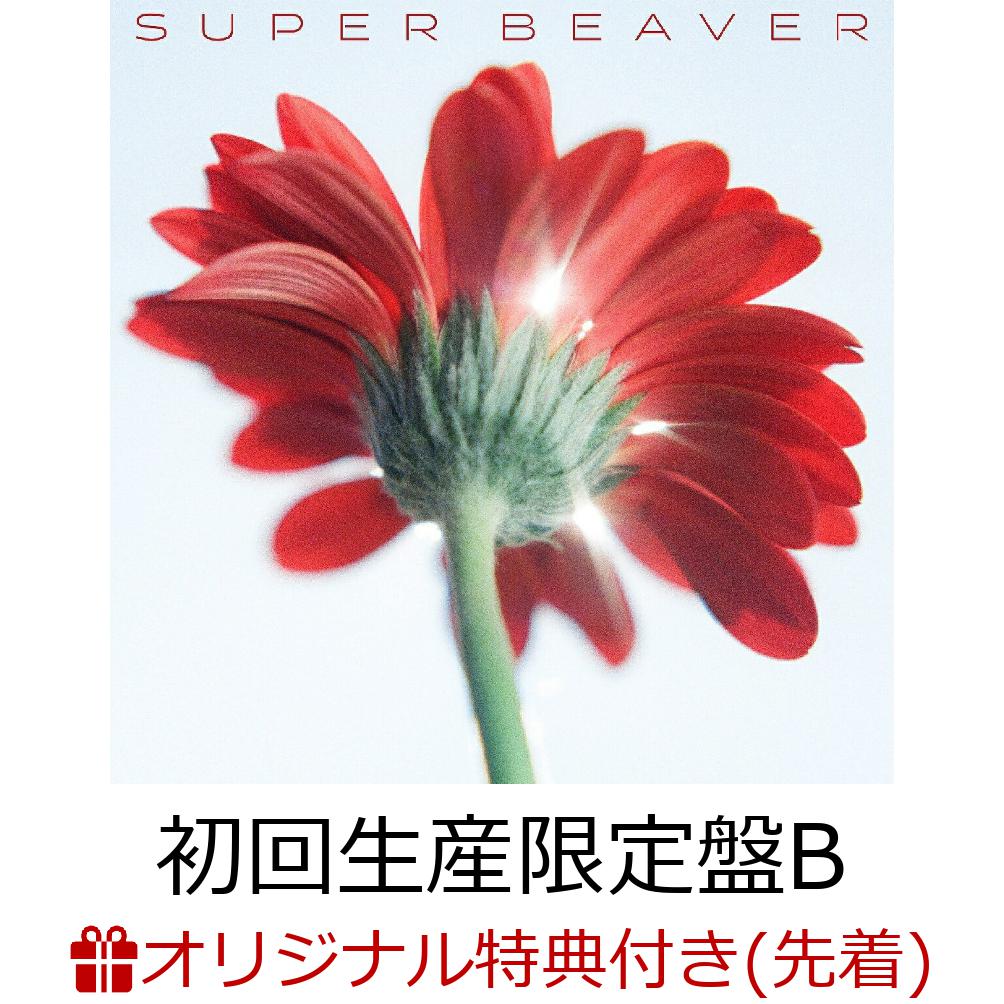 ڳŷ֥åŵۤ/ޤ(BCDDVD)(륭ۥ)[SUPERBEAVER]