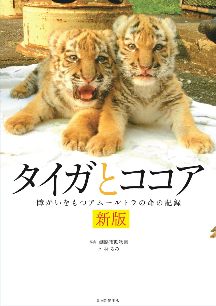 ǥȥ㤬ĥࡼȥ̿εϿ[Ӥ]