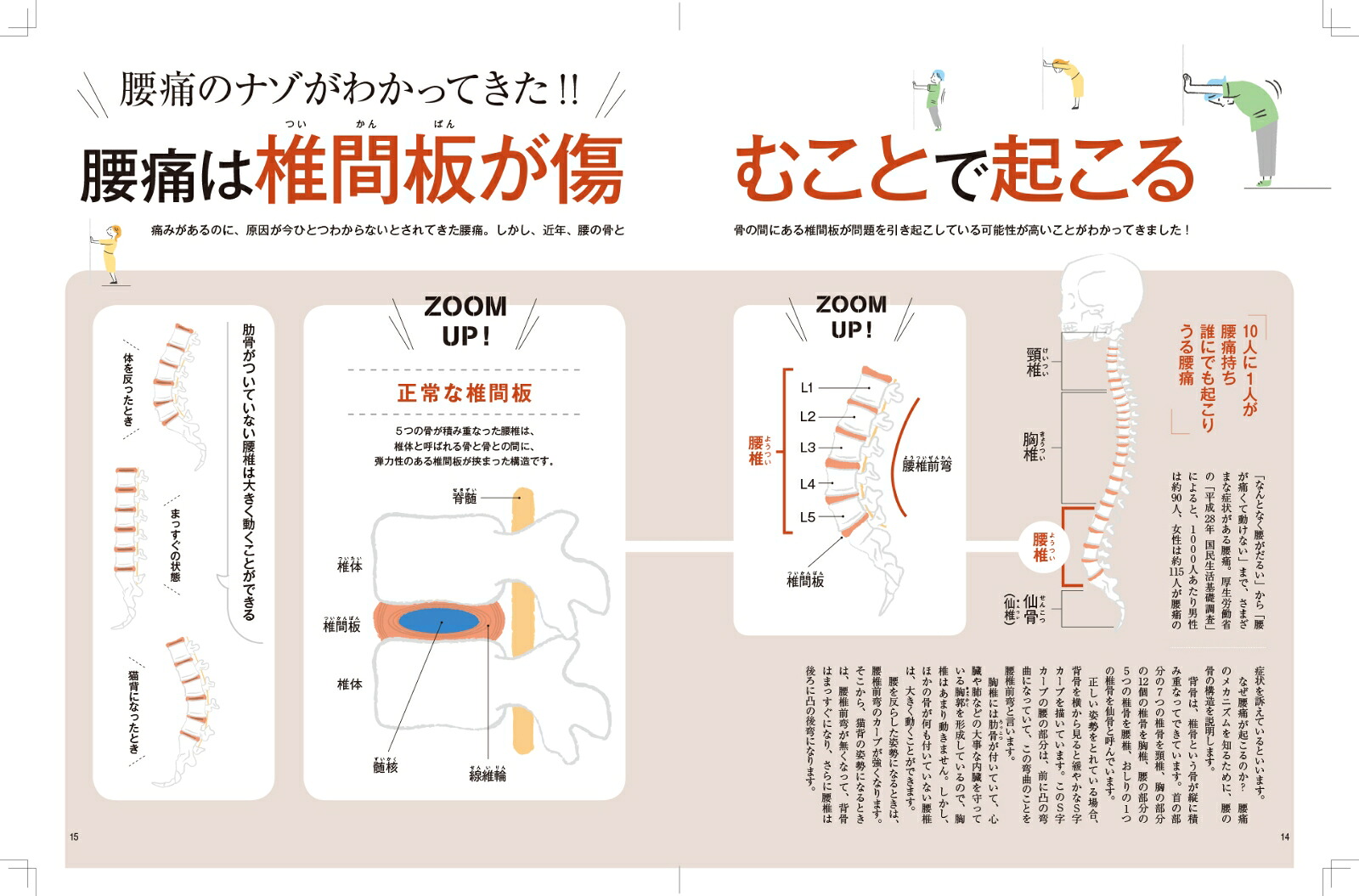 カラダにOK！NG！体操・動作・食事で「腰痛」は自分で治す（ぴあMOOK）[銅冶英雄]
