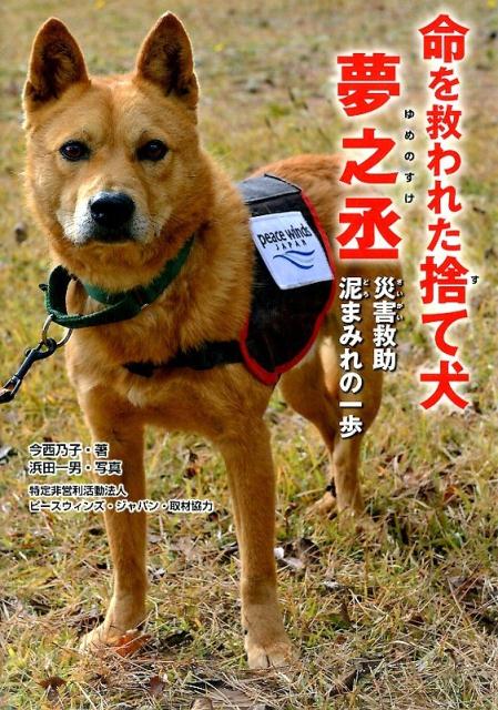 楽天ブックス 命を救われた捨て犬夢之丞 災害救助泥まみれの一歩 今西乃子 本