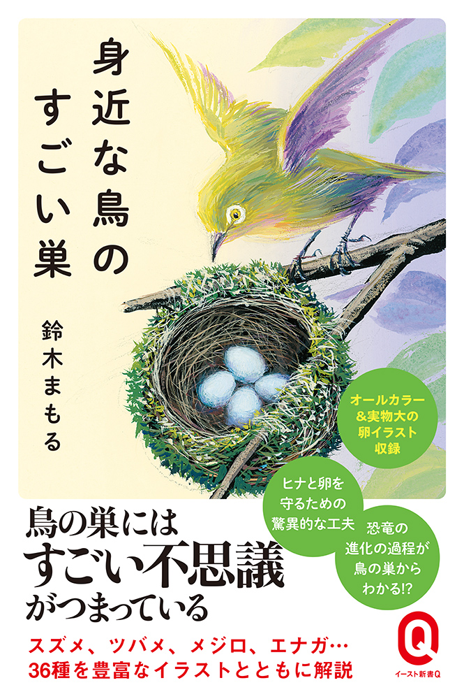 楽天ブックス: 身近な鳥のすごい巣 - 鈴木まもる - 9784781680903 : 本