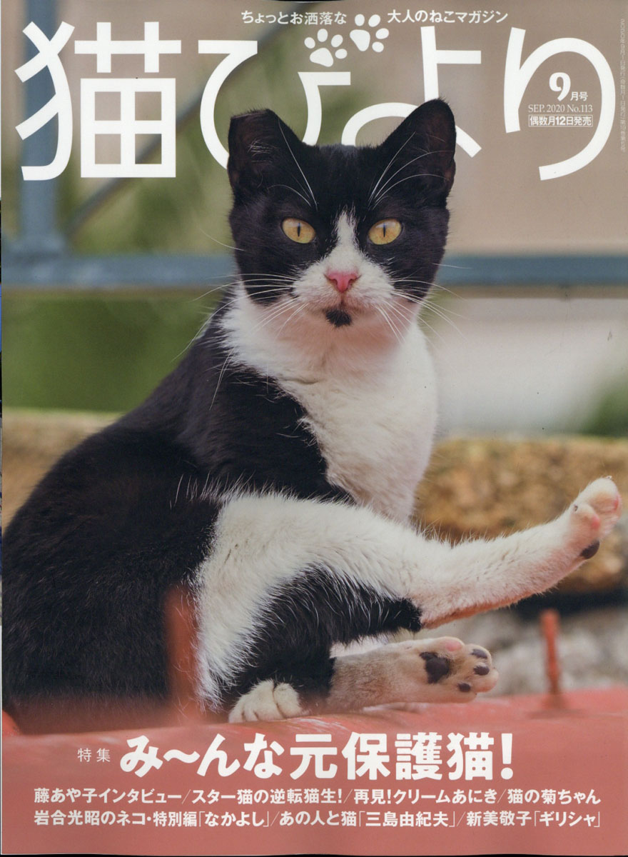 猫びより 2020年 09月号 [雑誌] 辰巳出版