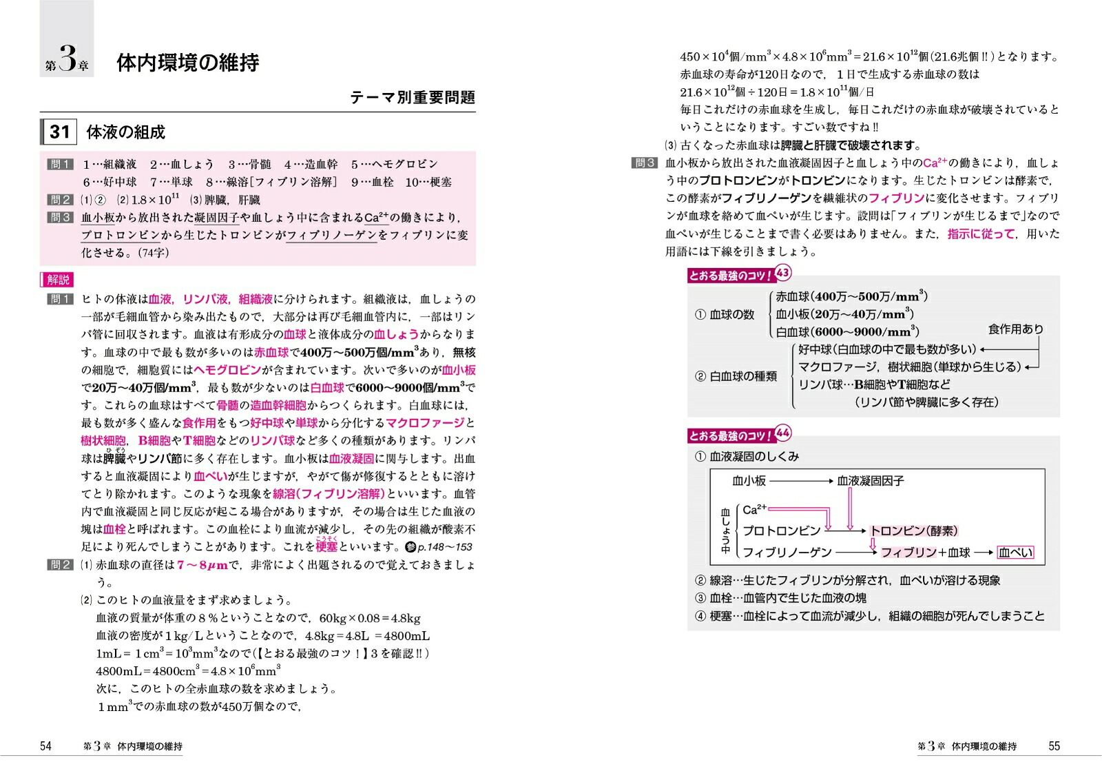 翹ŰκǶ꽸172ʪ[ʪáʪ]翹ŰκǶֵ[翹Ű]