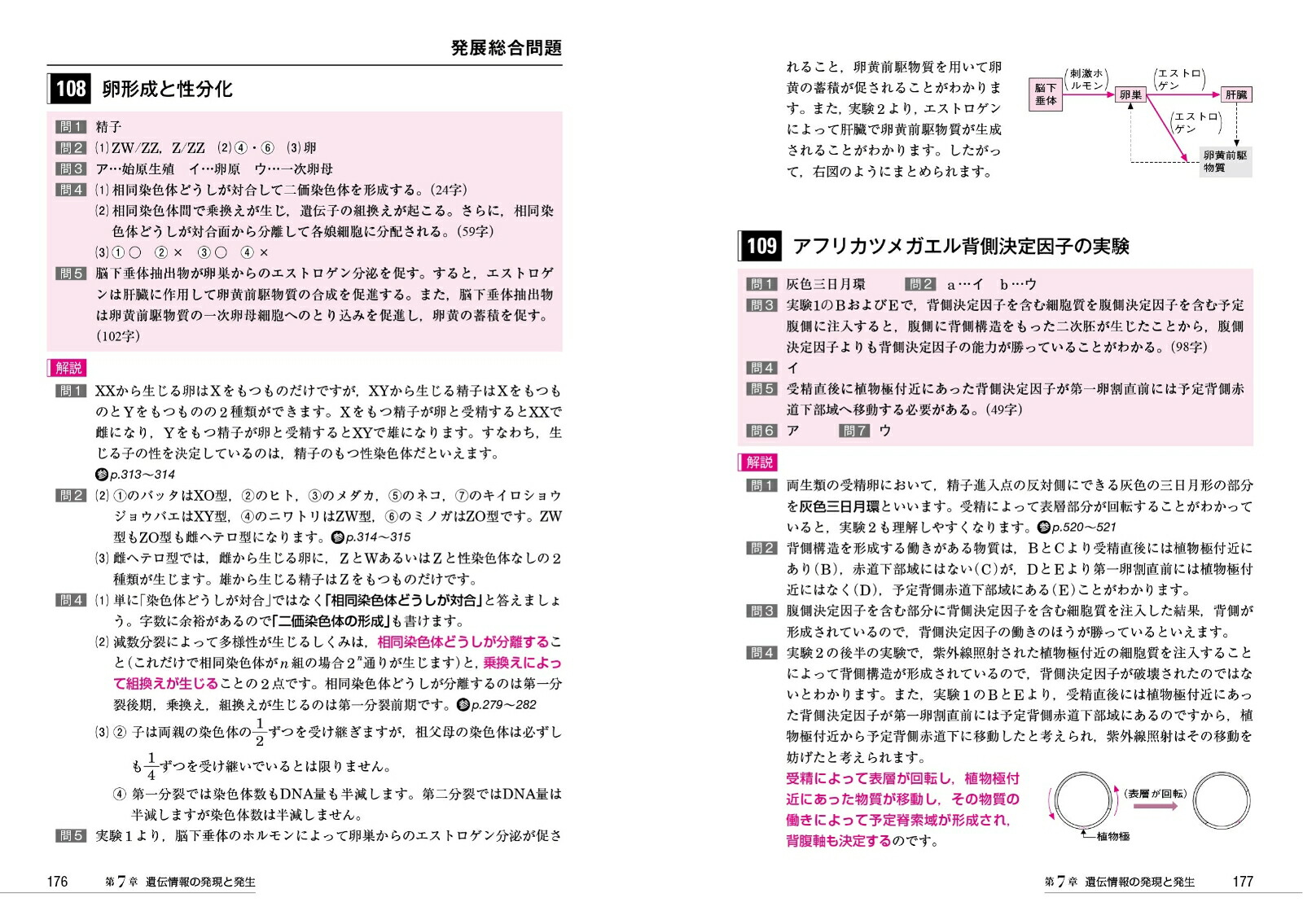 翹ŰκǶ꽸172ʪ[ʪáʪ]翹ŰκǶֵ[翹Ű]