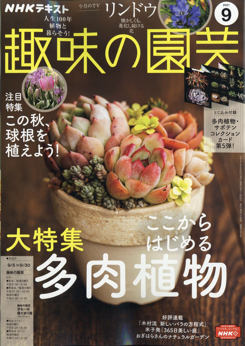 Nhk趣味の園芸 多肉植物 パーフェクトブック 激安価格と即納で通信販売