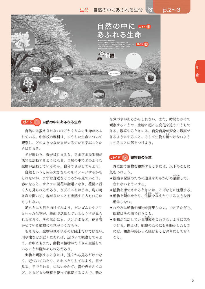 ضʽ񥬥1ǯӴ̤ؤҤ륵(ʽ򡢶ʽ̤Ǻ)