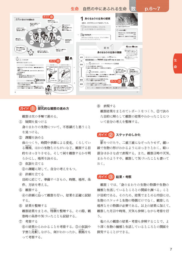 ضʽ񥬥1ǯӴ̤ؤҤ륵(ʽ򡢶ʽ̤Ǻ)