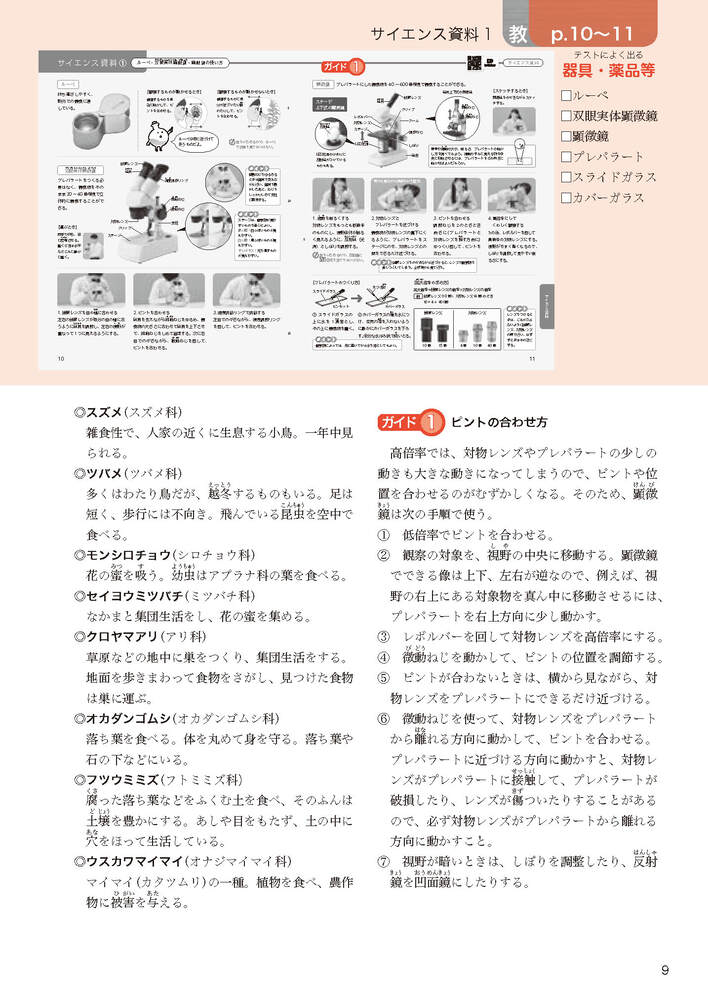 ضʽ񥬥1ǯӴ̤ؤҤ륵(ʽ򡢶ʽ̤Ǻ)