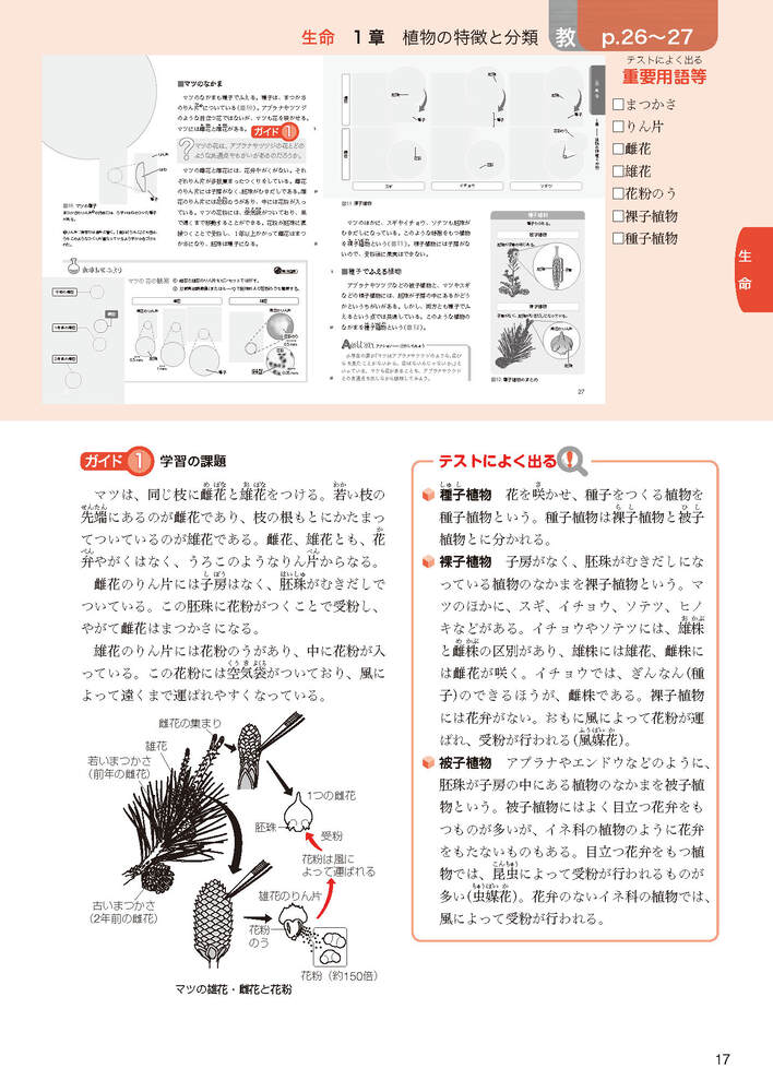 ضʽ񥬥1ǯӴ̤ؤҤ륵(ʽ򡢶ʽ̤Ǻ)