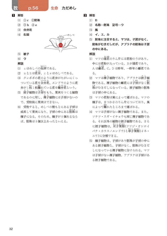 ضʽ񥬥1ǯӴ̤ؤҤ륵(ʽ򡢶ʽ̤Ǻ)