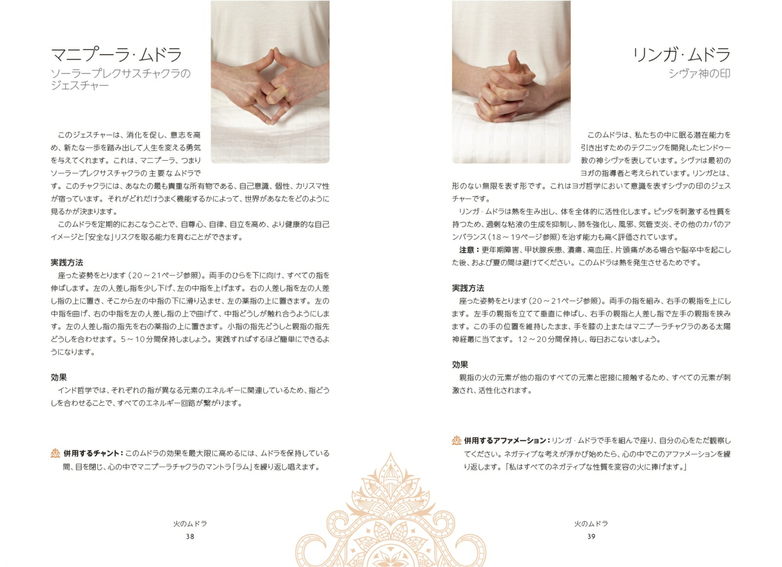 ɥե饤դϤƤΥɥϿ忴Υɥ[ߡʥ]