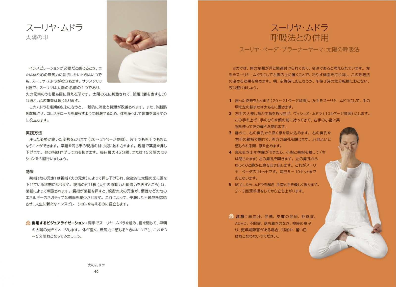 ɥե饤դϤƤΥɥϿ忴Υɥ[ߡʥ]