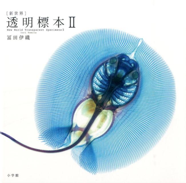 ［新世界］透明標本 New World Transparent Specimens 2