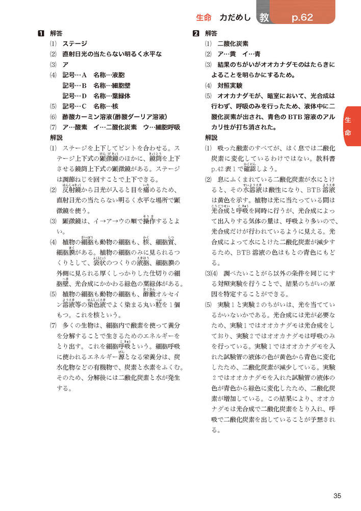 ضʽ񥬥2ǯӴ̤ؤҤ륵(ʽ򡢶ʽ̤Ǻ)