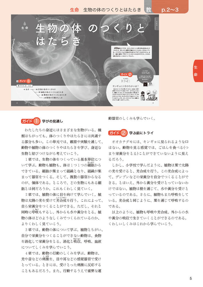 ضʽ񥬥2ǯӴ̤ؤҤ륵(ʽ򡢶ʽ̤Ǻ)