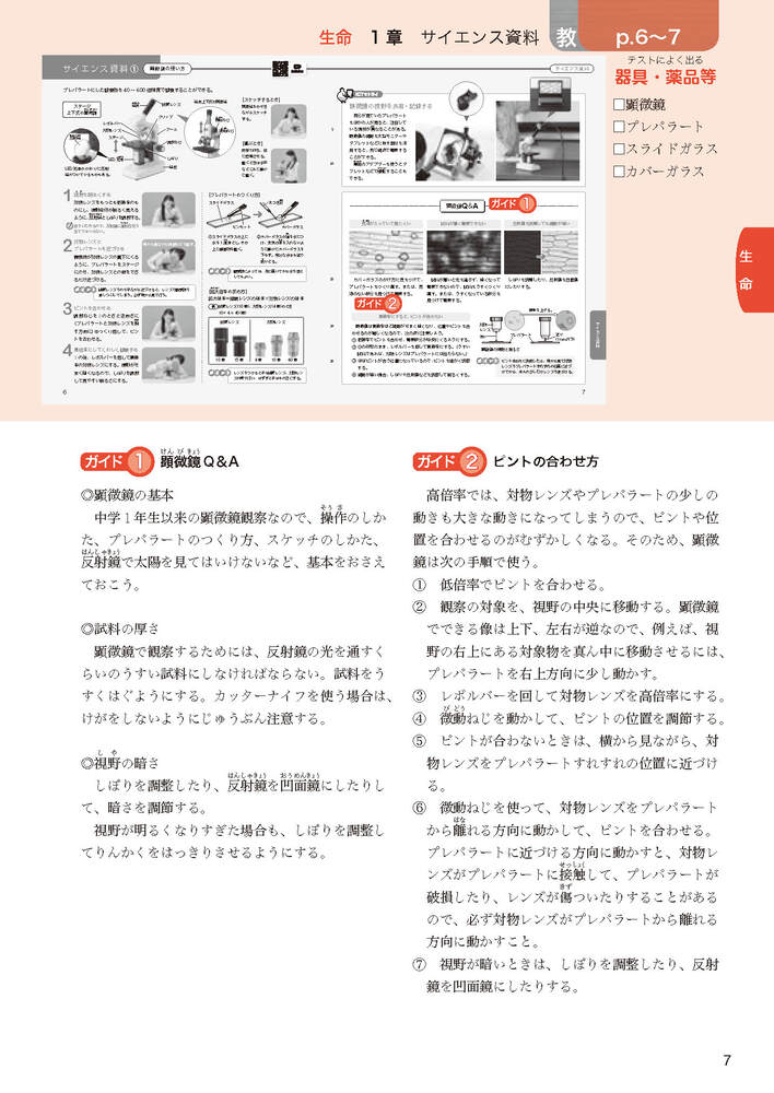 ضʽ񥬥2ǯӴ̤ؤҤ륵(ʽ򡢶ʽ̤Ǻ)