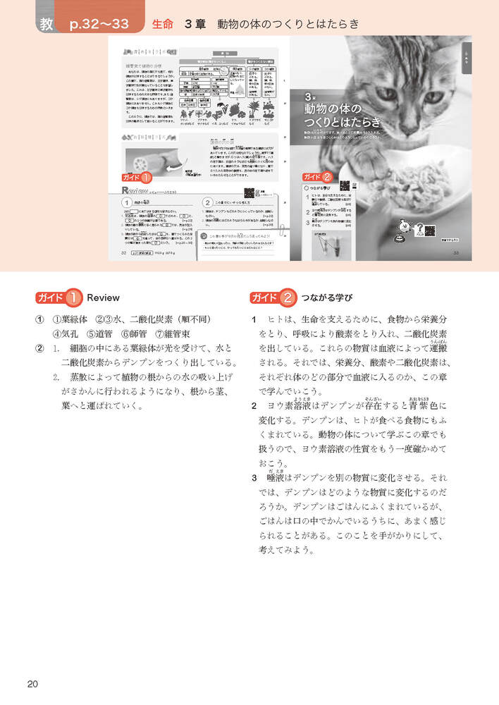 ضʽ񥬥2ǯӴ̤ؤҤ륵(ʽ򡢶ʽ̤Ǻ)