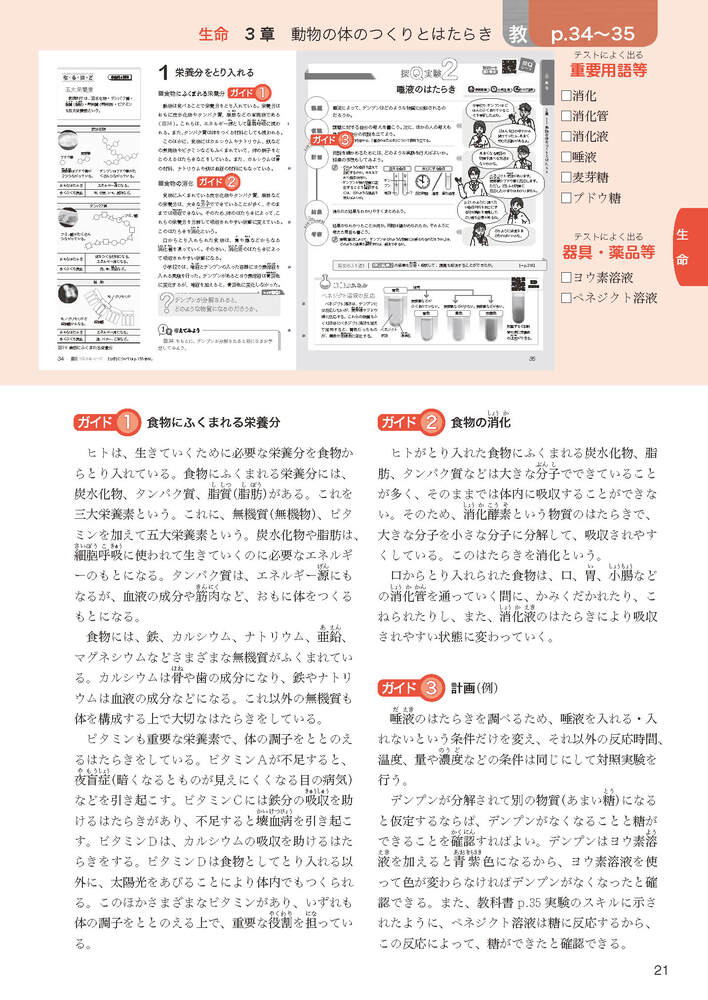 ضʽ񥬥2ǯӴ̤ؤҤ륵(ʽ򡢶ʽ̤Ǻ)