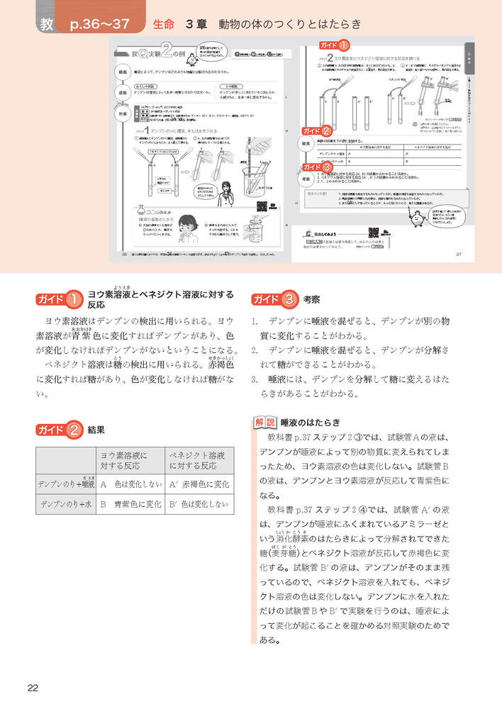 ضʽ񥬥2ǯӴ̤ؤҤ륵(ʽ򡢶ʽ̤Ǻ)