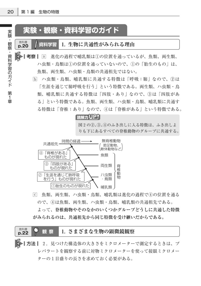 高校教科書ガイド第一学習社版改訂生物基礎(生基183-901)
