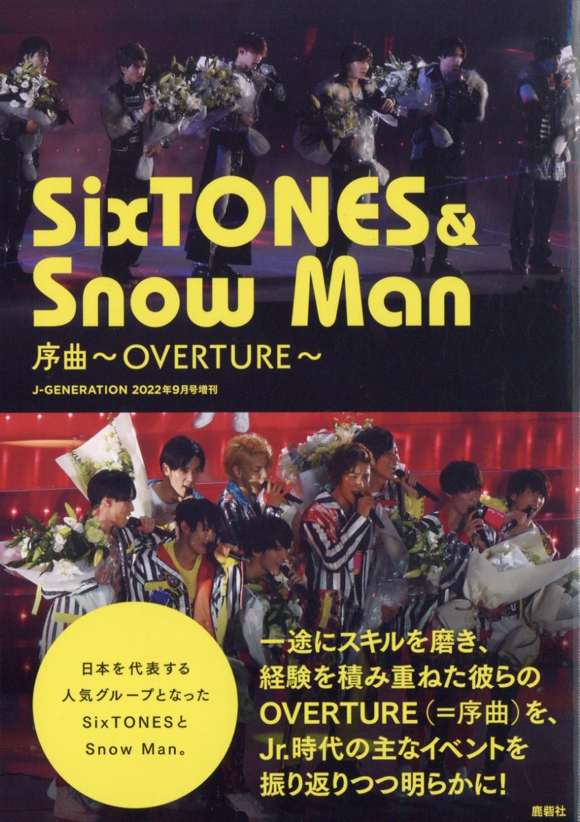 J-GENERATION Snow Man - アート