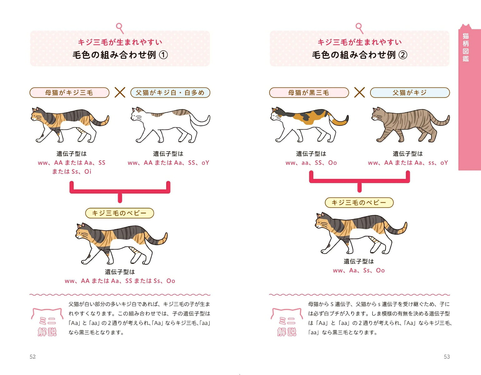 猫柄図鑑にゃんこの柄のすべてがわかる[山根明弘]