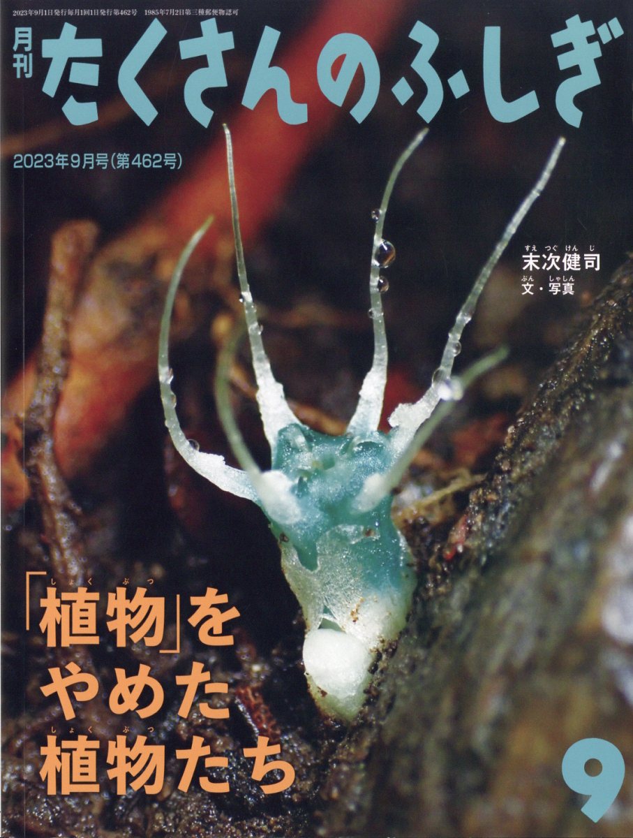 楽天ブックス: 月刊 たくさんのふしぎ 2023年 9月号 [雑誌] - 福音館書店 - 4910159230936 : 雑誌