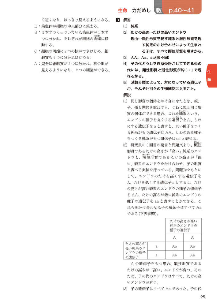 ضʽ񥬥3ǯӴ̤ؤҤ륵(ʽ򡢶ʽ̤Ǻ)