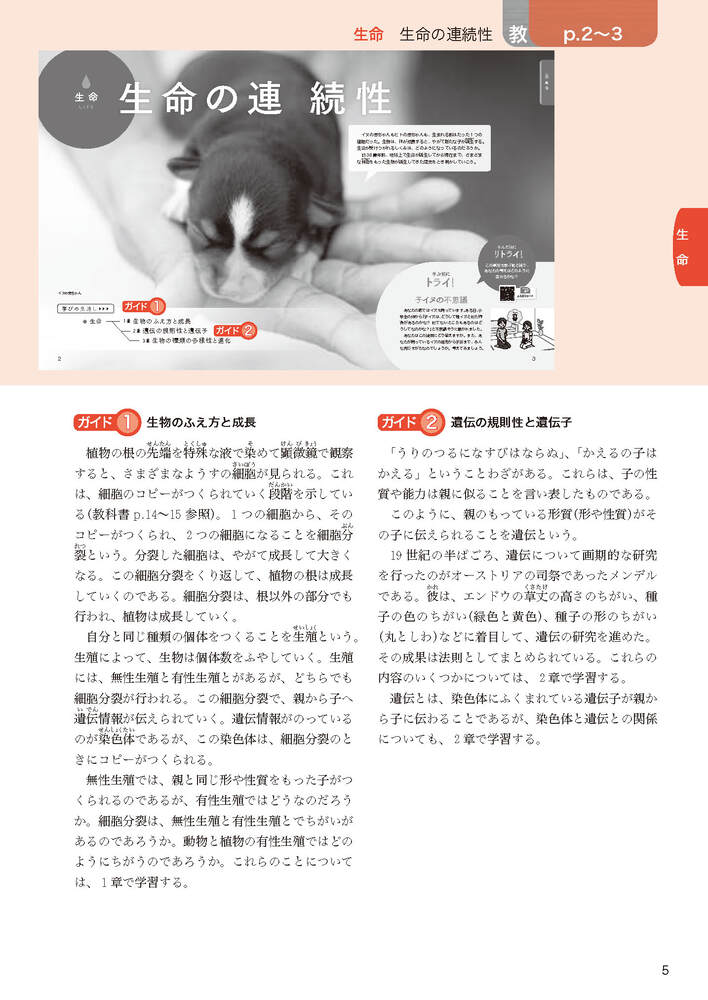 ضʽ񥬥3ǯӴ̤ؤҤ륵(ʽ򡢶ʽ̤Ǻ)