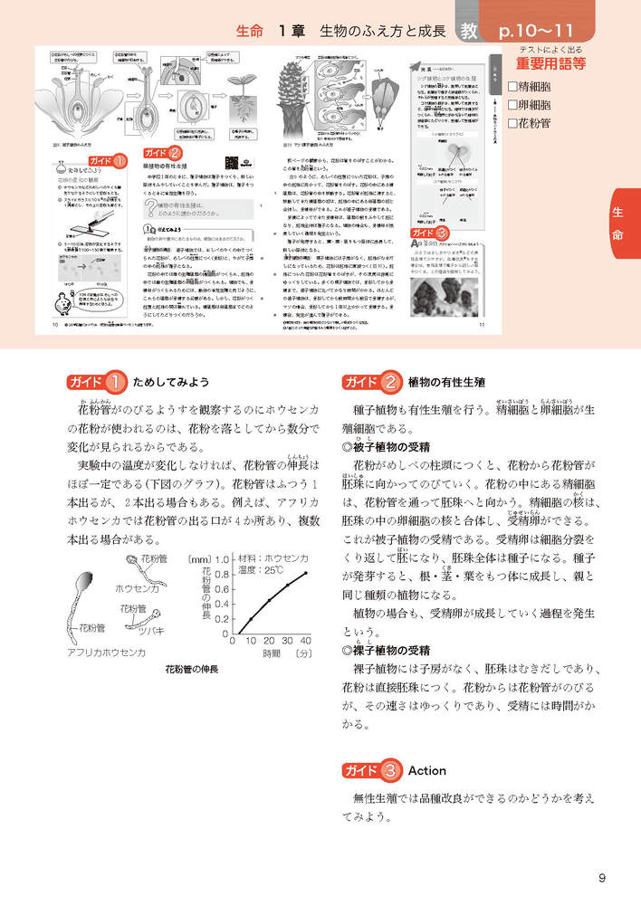 ضʽ񥬥3ǯӴ̤ؤҤ륵(ʽ򡢶ʽ̤Ǻ)