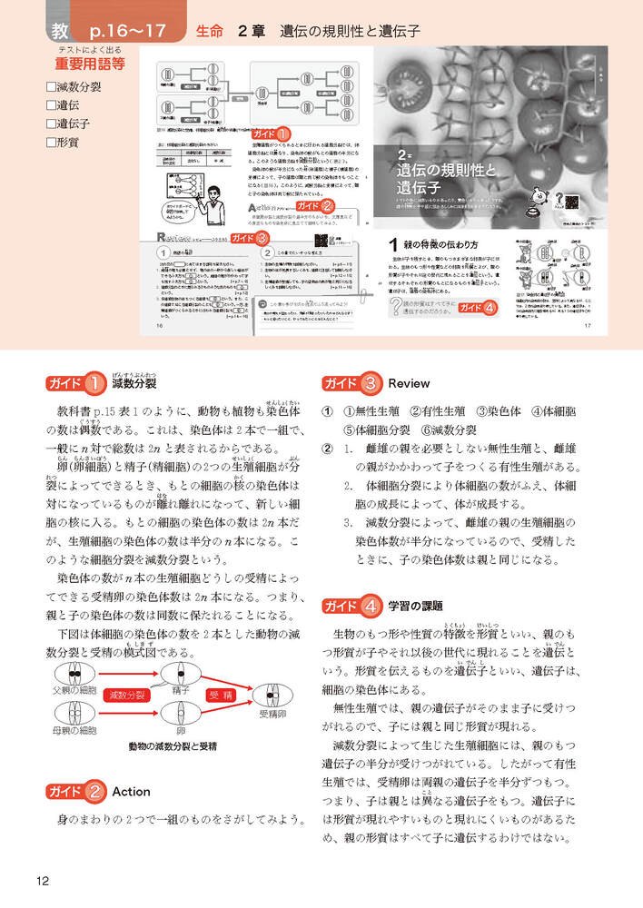 ضʽ񥬥3ǯӴ̤ؤҤ륵(ʽ򡢶ʽ̤Ǻ)