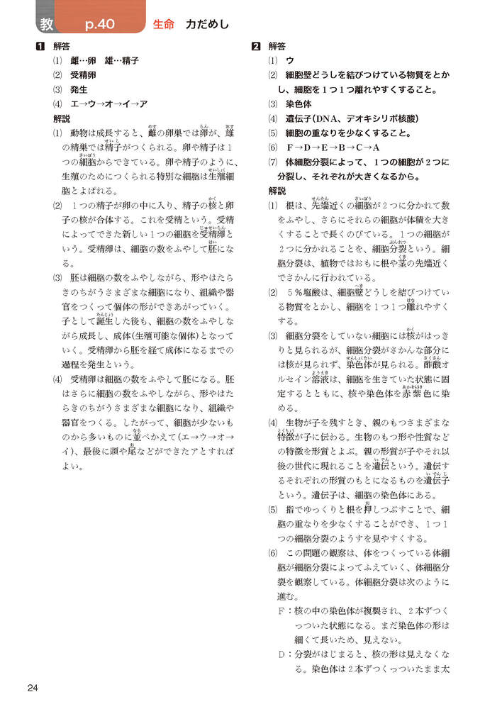 ضʽ񥬥3ǯӴ̤ؤҤ륵(ʽ򡢶ʽ̤Ǻ)