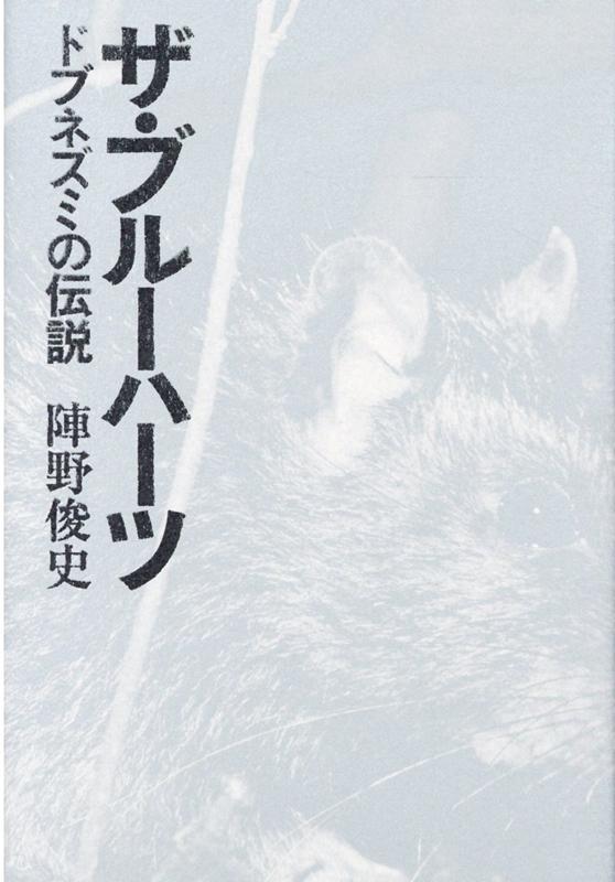 楽天ブックス ザ ブルーハーツ ドブネズミの伝説 陣野 俊史 本