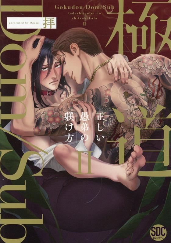 ƻDomSub2ˡʽǥ륳ߥåBL꡼[]